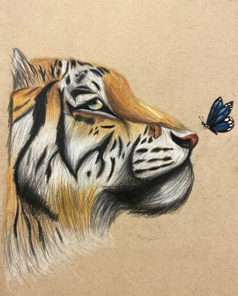 A drawing of the profile of a tiger's face facing to the right with a blue butterfly approaching to land on its nose against a beige background. 