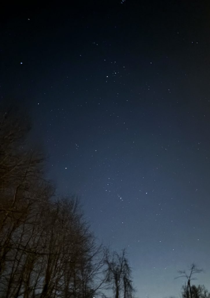 Photograph of a night sky with stars and trees.