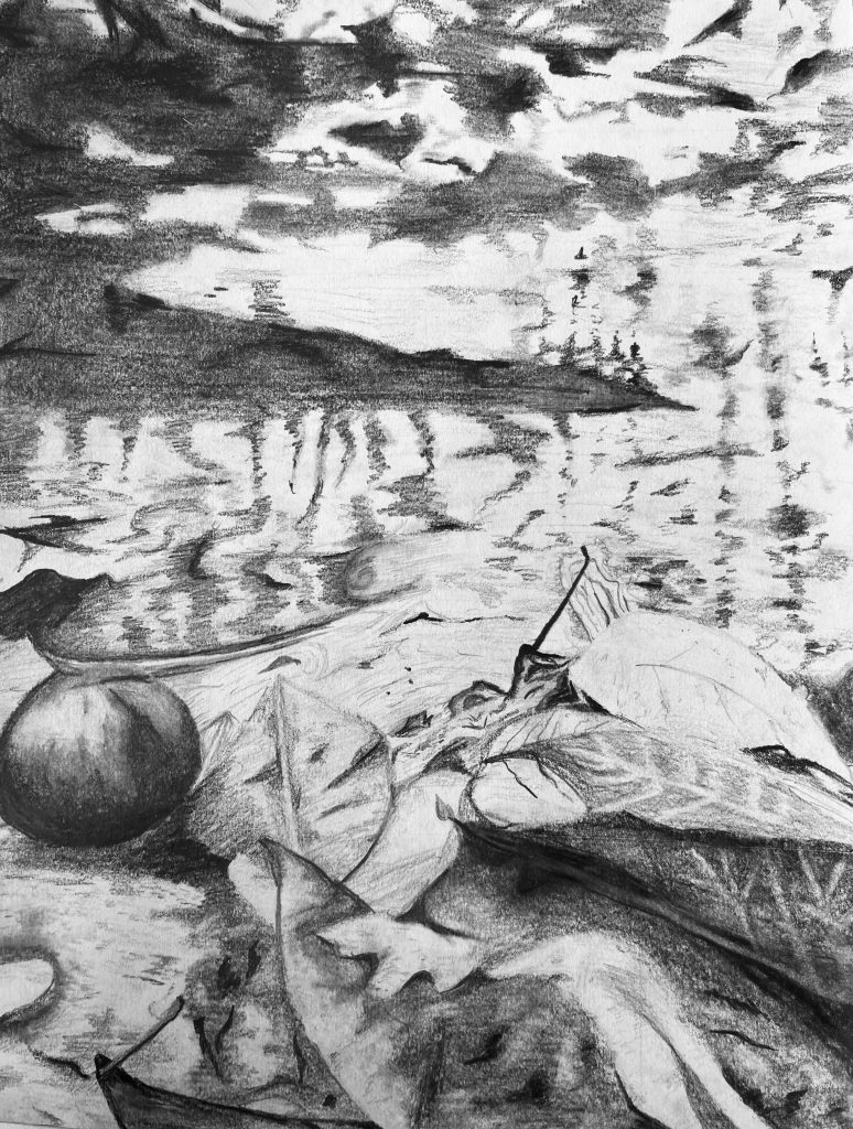 Charcoal drawing of leaves, water and acorns.