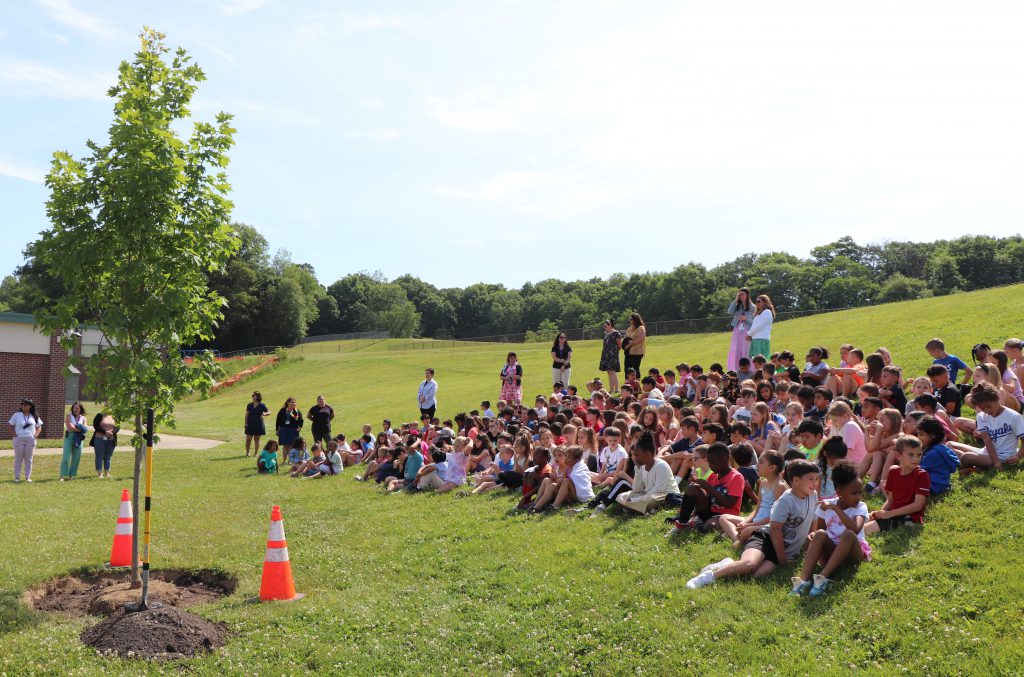 A group of elementary school students sit antsy outside on a hill looking at a small sugar maple tree in a hole with a pile of dirt next to it.