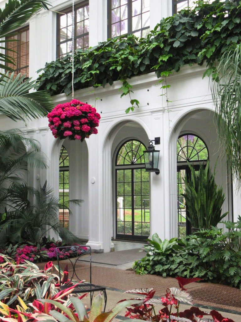 A room with plants and a garden outside on the field trip for students.