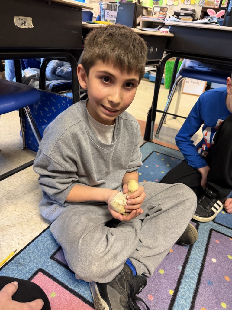 GIS Mrs. Piaquadio class eggs