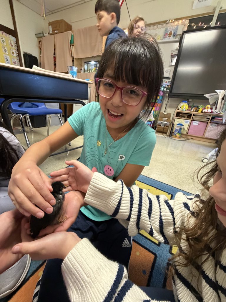 GIS Mrs. Piaquadio class eggs