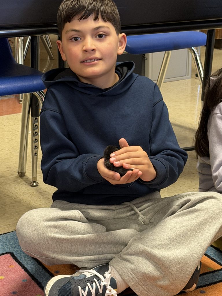 GIS Mrs. Piaquadio class eggs