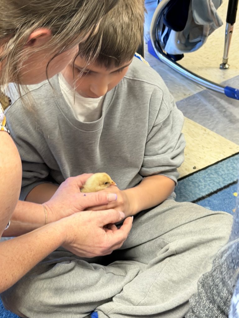 GIS Mrs. Piaquadio class eggs