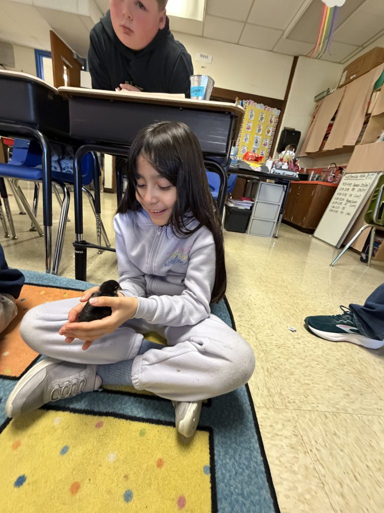 GIS Mrs. Piaquadio class eggs