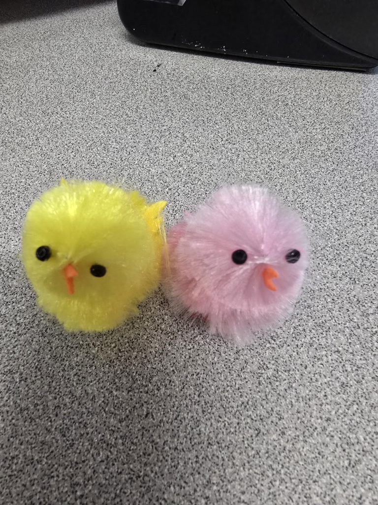 GIS Mrs. Piaquadio class eggs