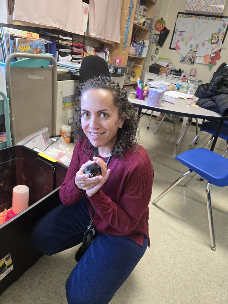 GIS Mrs. Piaquadio class eggs