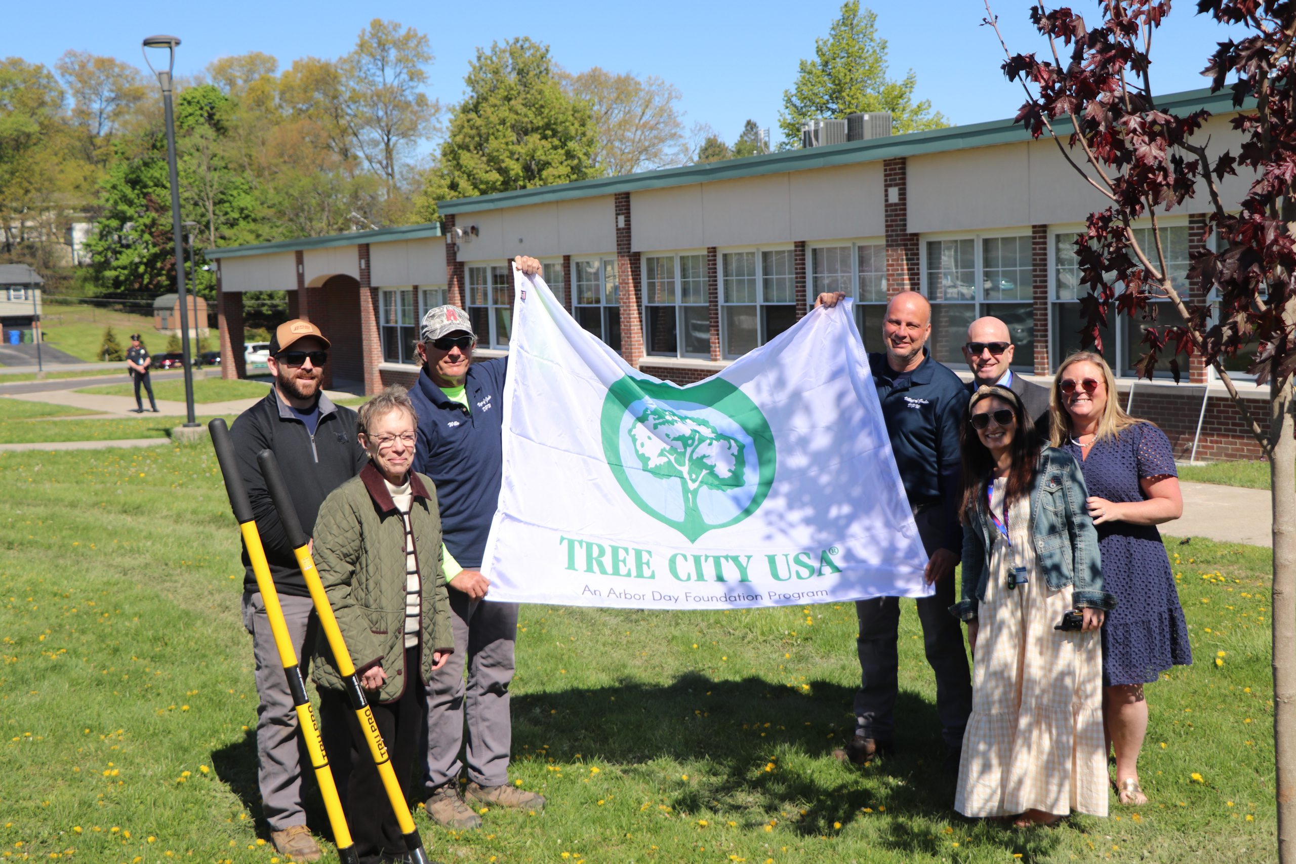 tree planting 